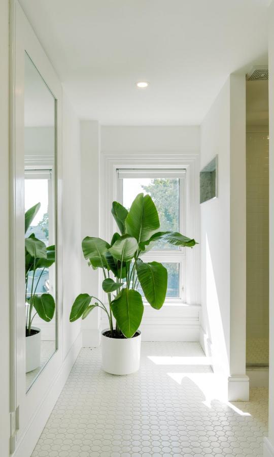 The Flats West Apartment Wellington Bagian luar foto